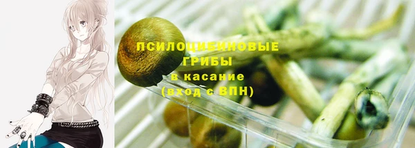 хмурый Алексеевка