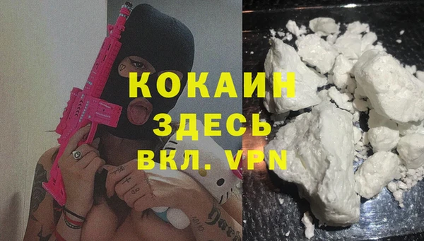 тгк Алзамай