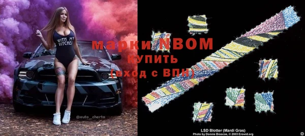 гидра Алексин