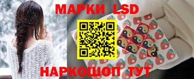 амф Камышлов