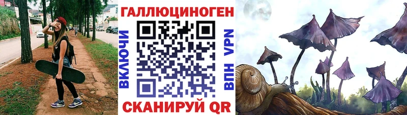 Галлюциногенные грибы Cubensis  Клинцы 