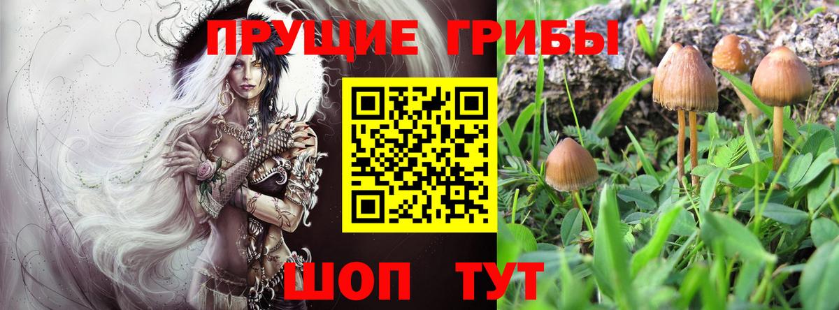 Галлюциногенные грибы мицелий Клинцы
